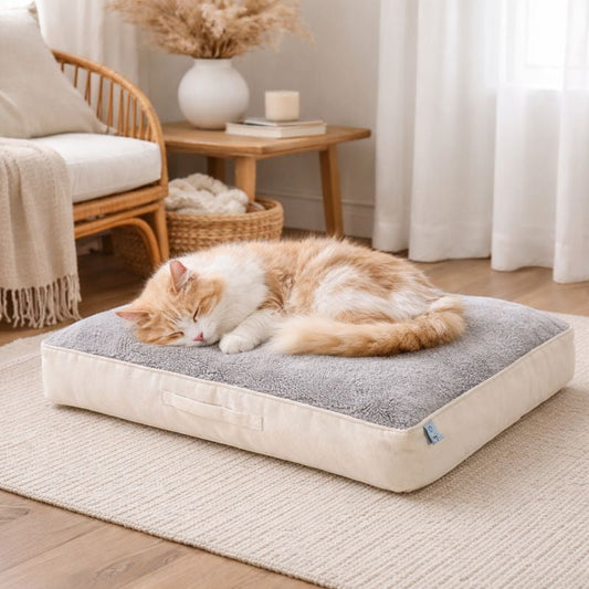 Polyester Rectangular Beige Dog Bed - Grey
