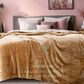 Beige Shade Super Soft All Season Premium AC Blanket